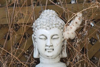 Close-up of buddha statue outdoors