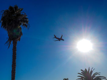 Low angle view of palm trees against blue sky