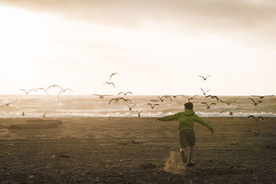 Boy chasing away birds on beach