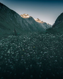 Scenic view of snowcapped mountains against clear sky