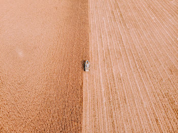 High angle view of tire tracks on field