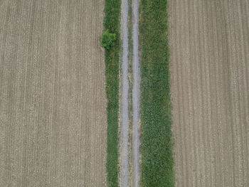 Full frame shot of agricultural field