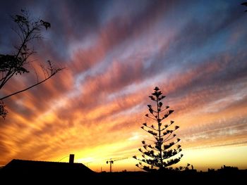 Silhouette tree against dramatic sky during sunset