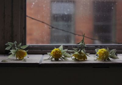 Artificial roses by the window