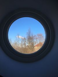 window