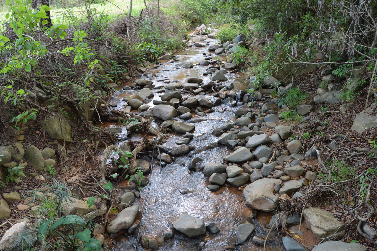 VIEW OF STREAM FLOWING THROUGH ROCKS