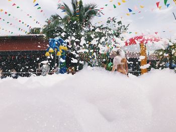 Snow covered plants against trees during winter