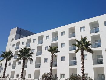 Low angle view of palm trees and building against blue sky