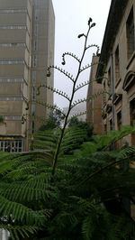 Low angle view of building against sky