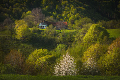 Landscape with the beauty of spring season in the mountain area.