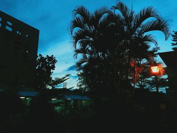 Low angle view of palm trees at night