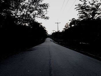 Empty road along trees