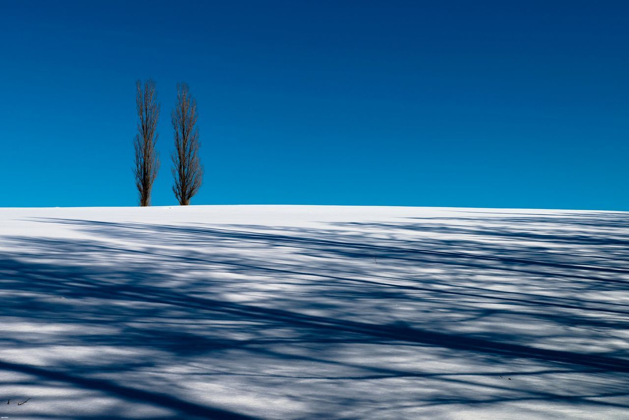 snow, winter, cold temperature, clear sky, season, blue, tranquil scene, tranquility, covering, copy space, landscape, beauty in nature, scenics, weather, nature, white color, frozen, tree, snow covered, white