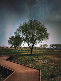 Scenic view of grassy field against sky