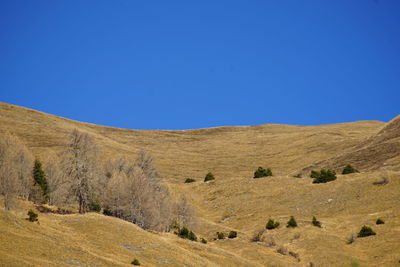 Scenic view of arid landscape against clear blue sky