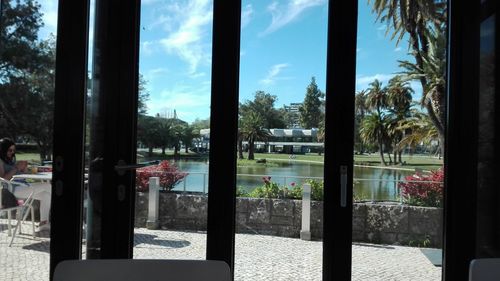 Trees seen through glass window