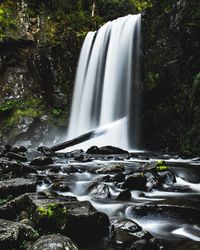 Stream flowing through a forest