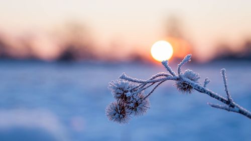 Close-up of snow against sky during sunset