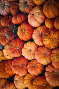 Full frame shot of pumpkins