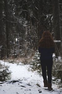 People standing in forest