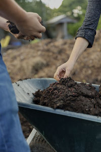 Hands checking dirt on wheelbarrow
