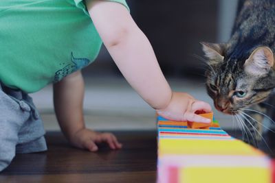 Midsection of boy playing with cat on floor