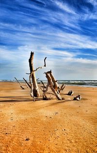 Birds on beach against sky