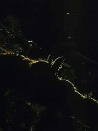 Aerial view of illuminated city at night