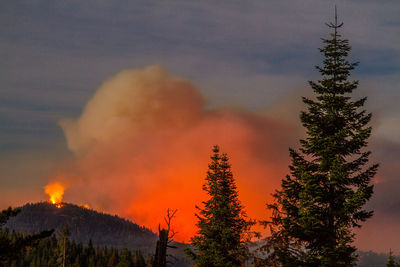 Forest fire at dusk