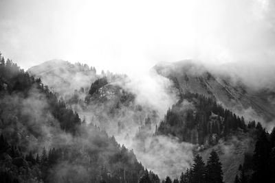 Panoramic view of trees and mountains against sky