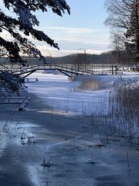 Snow covered plants by lake against sky