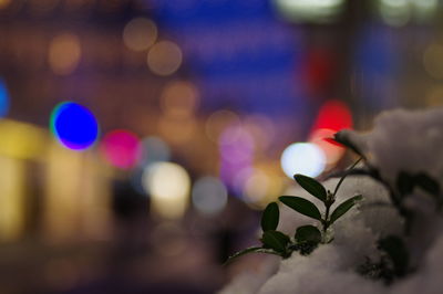 Defocused image of illuminated lights at night