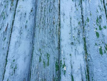 Full frame shot of snow on wood