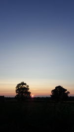 Silhouette trees on field against clear sky during sunset