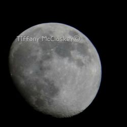 Close-up of moon against black background