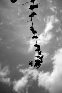 Low angle view of silhouette helicopter against sky