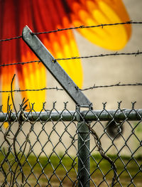 Close-up of chainlink fence
