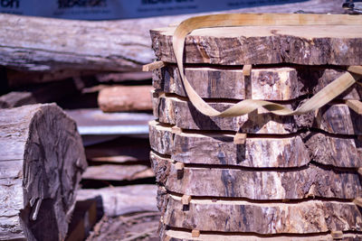 Close-up of logs