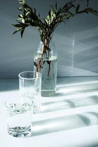 A glass vase with a green plant and two glasses of water on a white table.