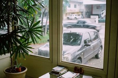 Indoors on window sill