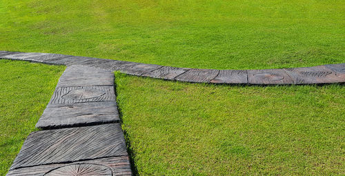 High angle view of agricultural field