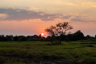 Scenic view of field against sky during sunset