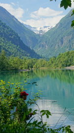 Scenic view of lake and mountains against sky