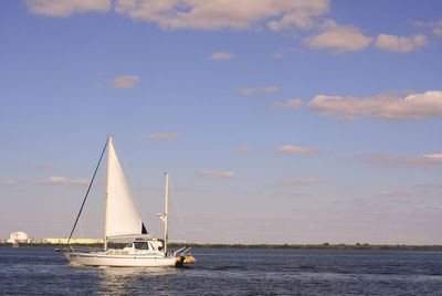 Sailboat sailing in sea