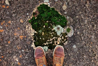 Low section of person standing by moss on rock