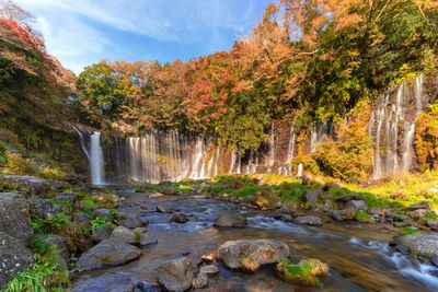 Scenic view of waterfall in forest