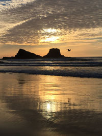 Scenic view of sea at sunset