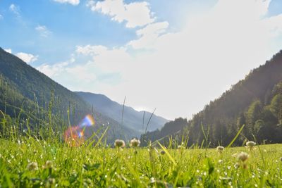 Surface level of field against sky