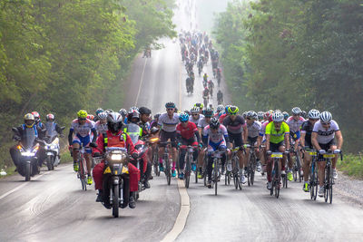 Crowd on road amidst trees