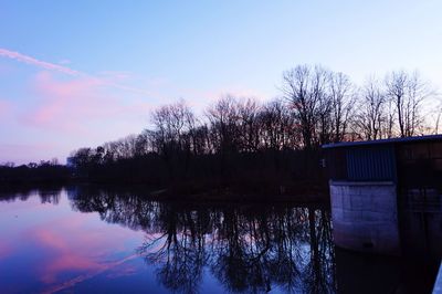 Reflection of trees in calm lake